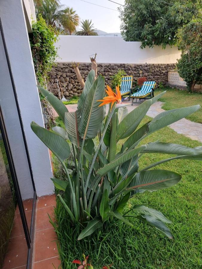 La Casa De Lucy & Karin Villa La Orotava Exteriör bild
